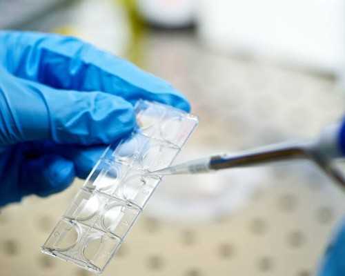 专业供卵,云南省****医院供卵代怀三代助孕流程是怎样的？