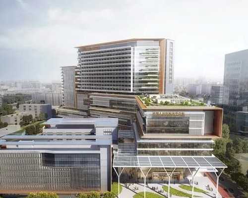 警惕供卵与代生骗局:辅助生殖如何安全助孕