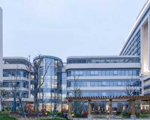 助孕指南：深度解析供卵代怀婴儿技术、代生流程与高成功率秘诀