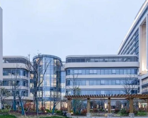 助孕指南：深度解析供卵代怀婴儿技术、代生流程与高成功率秘诀
