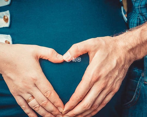 供卵试管流程与费用：北京助孕机构如何选择？301医院供卵价格深度解析
