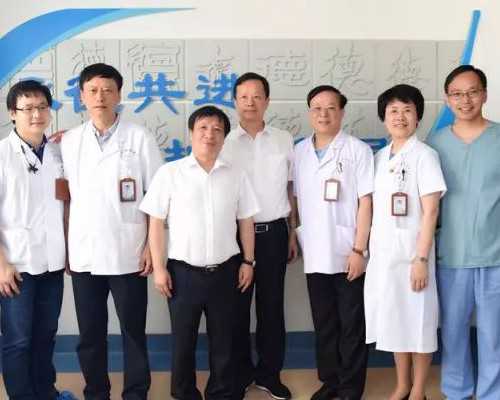 试管助孕：深入解析试管婴儿费用、流程与成功率的关键因素