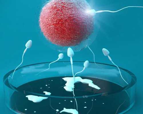 重庆助孕供卵机构与试管费用：高龄求子成功经验分享