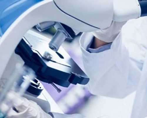 2026湖南供卵试管助孕：正规医院名单、代生价钱与选择指南