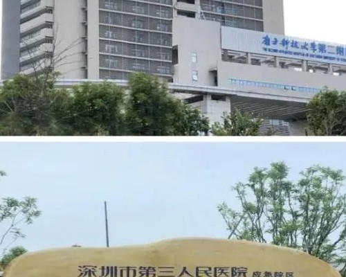 西藏阜康医院供卵代怀：助孕成功率与费用解析，探寻高性价比辅助生殖方案