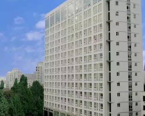 深入解析供卵代怀助孕：高龄生育挑战、流程与成功率