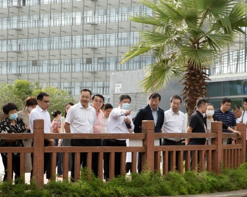 广州供卵代怀试管助孕：医院排名与生男孩费用解析
