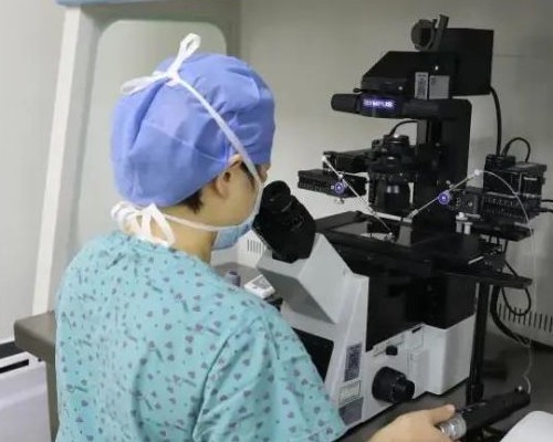 成都试管助孕费用与成功率深度解析：华西、妇幼借卵代怀指南