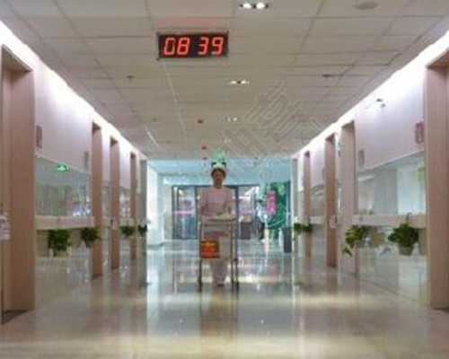 供卵试管助孕:探究供卵中心、机构与相关费用