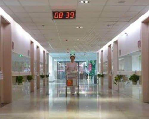 供卵试管助孕：探究供卵中心、机构与相关费用