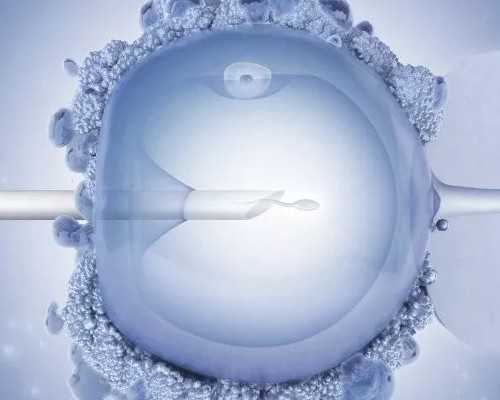 供卵自怀_供卵企业联系电话,北京供卵试管中介成功率高吗