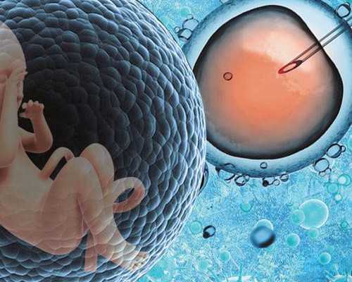 河南2026年三代供卵试管费用明细,绝经女性助孕机构指南