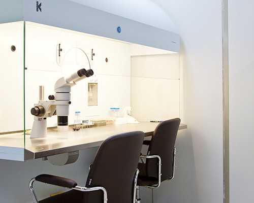 代生包成功,供卵市场价,莆田哪家公立医院有三代供卵代怀助孕技术?