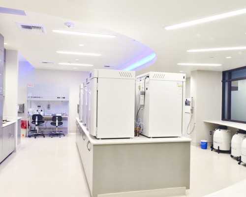 专业助孕视角:铜陵供卵代怀婴儿费用、流程及高龄备孕指南